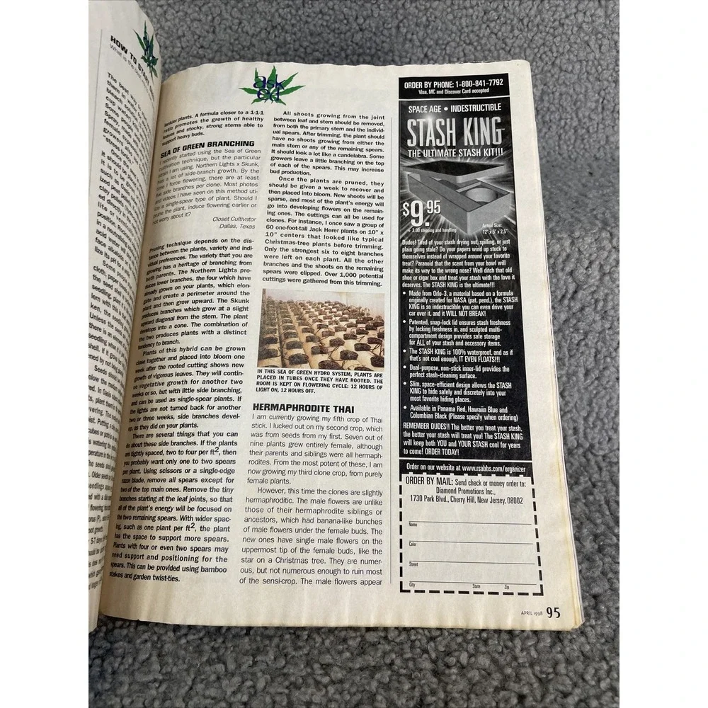 High Times Magazine #272 April 1998 Noam Chomsky, Pancho Villa Shadow Wars Ganja
